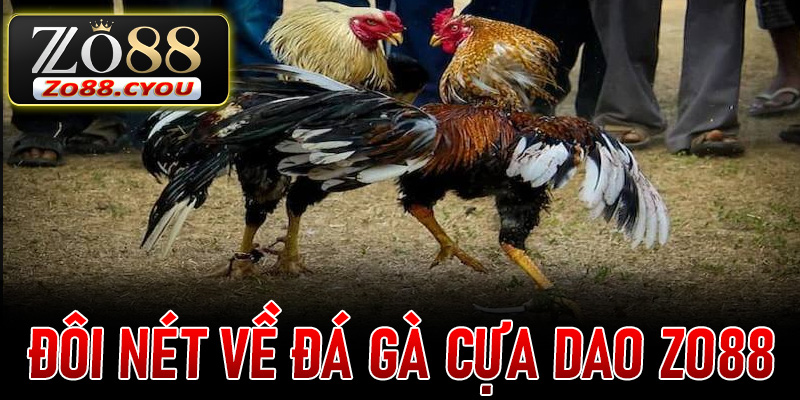 Đôi nét về Đá Gà Cựa Dao ZO88