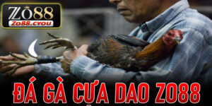 Đá Gà Cựa Dao ZO88
