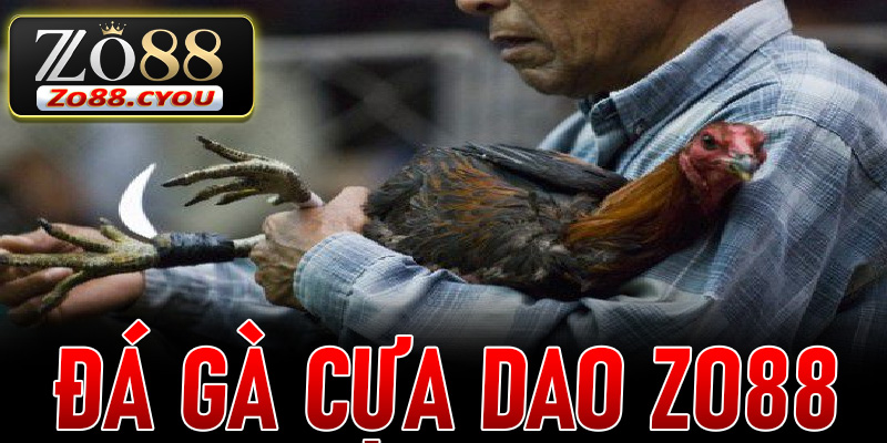 Đá Gà Cựa Dao ZO88