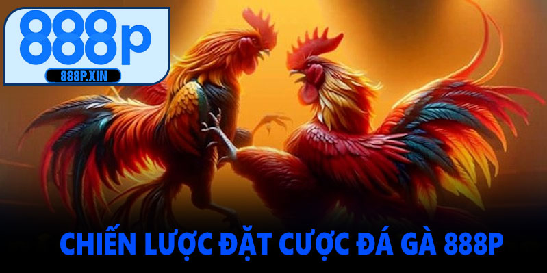 Chiến lược đặt cược đá gà 888P hiệu quả