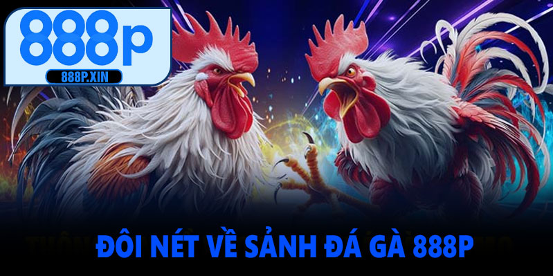 Đá gà 888P là gì?