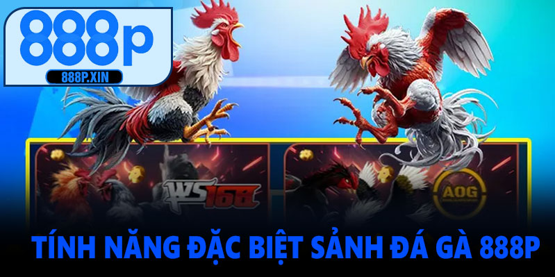 Tính năng đặc biệt sảnh đá gà 888P