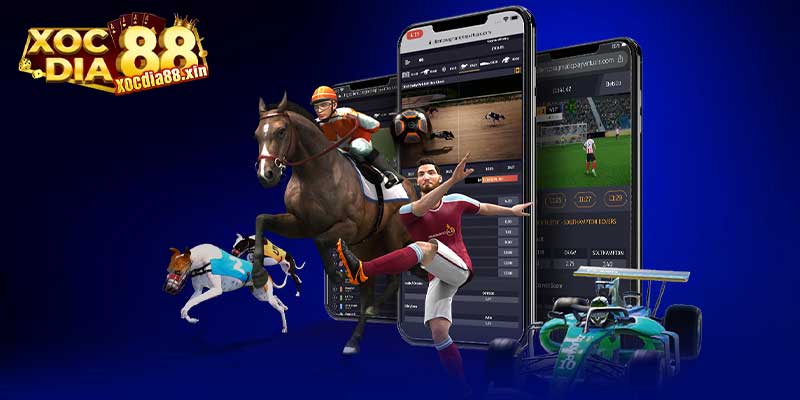 Các môn thể thao ảo phổ biến